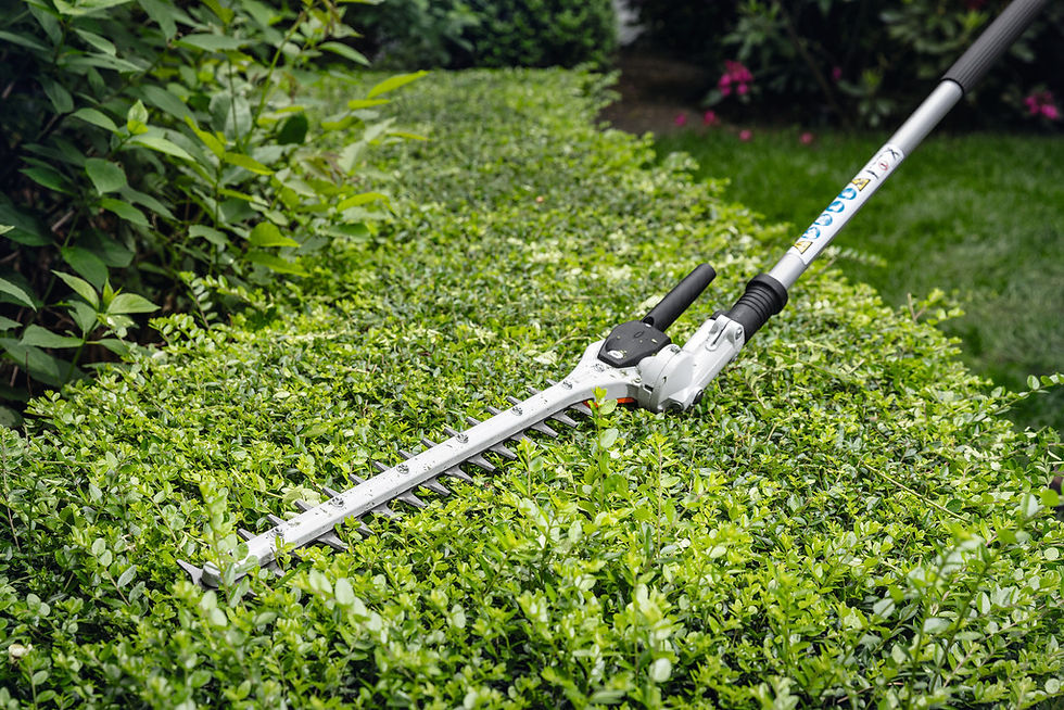 Thumbnail: STIHL HL-KM 145 KombiTool cutting a hedge top