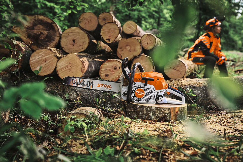 Thumbnail: STIHL MS 300 C-M