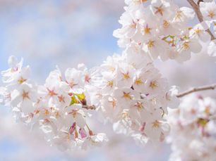 採用がうまくいかない会社が見落としている本当の原因 採用は順番で決まります