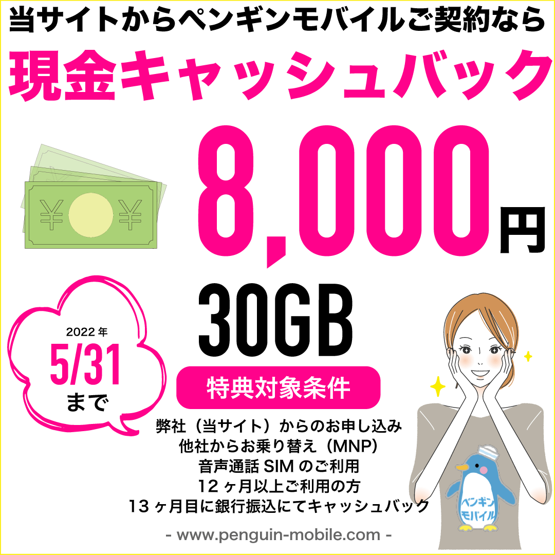 30GB8000円CB040531.gif