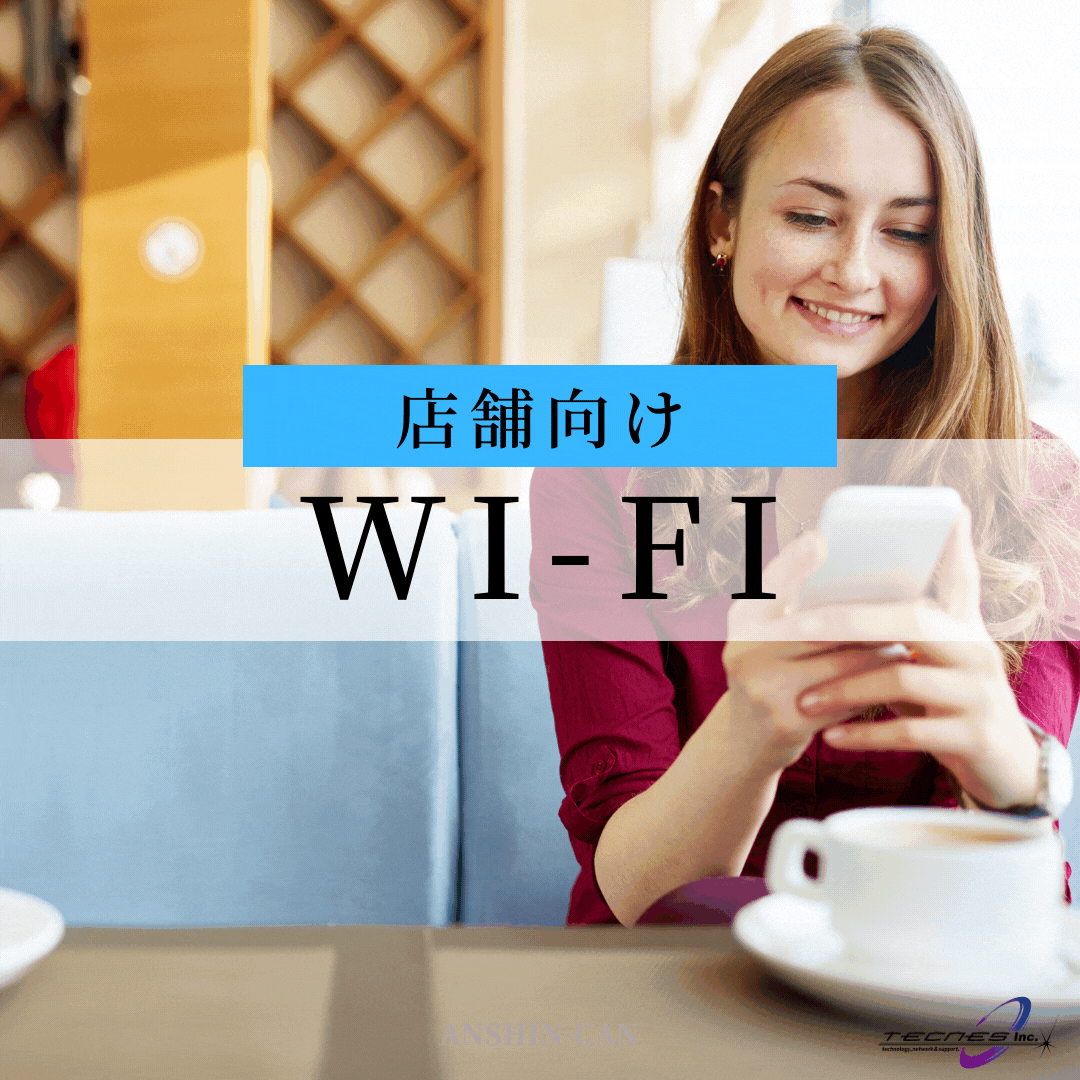 店舗向けWi-Fi_安心館 テクネス