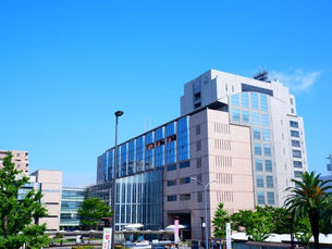 共同親権の選択率は15％ 足立区が情報開示