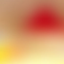 ひとり親家庭支援は「子どもまんなか」？ 共同親権に関する改正民法施行まで1カ月を切った役所の準備態勢