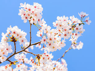 採用が変わる会社と変わらない会社の決定的な違い 今日から設計を変えられるか