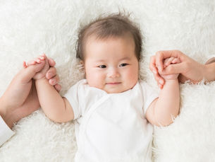 豪上院、日本の子の連れ去り問題を再び追及 政府「共同親権改革の実施を支援」