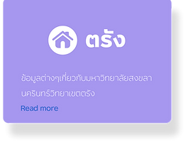 05.png