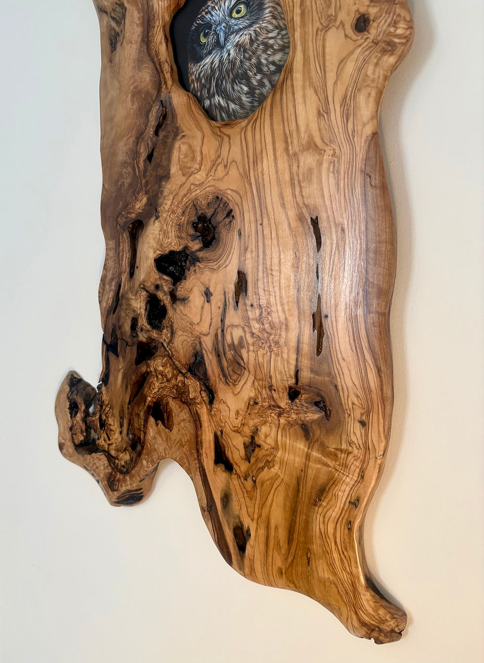 Thumbnail: 'Peeking Out' - Hollow Tree Series