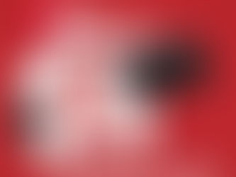 ของขวัญสุดพิเศษโดนใจช่างภาพ! แคนนอน จัดแคมเปญดีต่อใจ"Canon Camera Service Birthday Special"