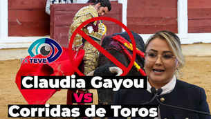 Claudia Díaz Gayou encabeza la iniciativa para frenar las corridas de toros en San Juan del Río