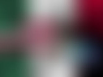 ¿Porque los mexicanos obedecemos? (Video)