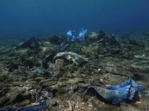 Un mundo sin plásticos ¿posible?: Día Internacional De la Tierra