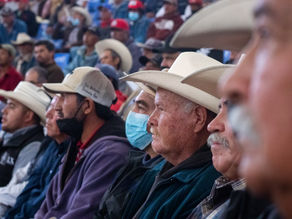 BENEFICIAN A MIL 600 PRODUCTOS CON ENTREGA DE 384 TONELADAS DE MAÍZ EN SAN JUAN DEL RÍO