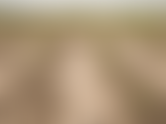 El 94% de los municipios de Querétaro enfrenta sequía excepcional, reporta Conagua