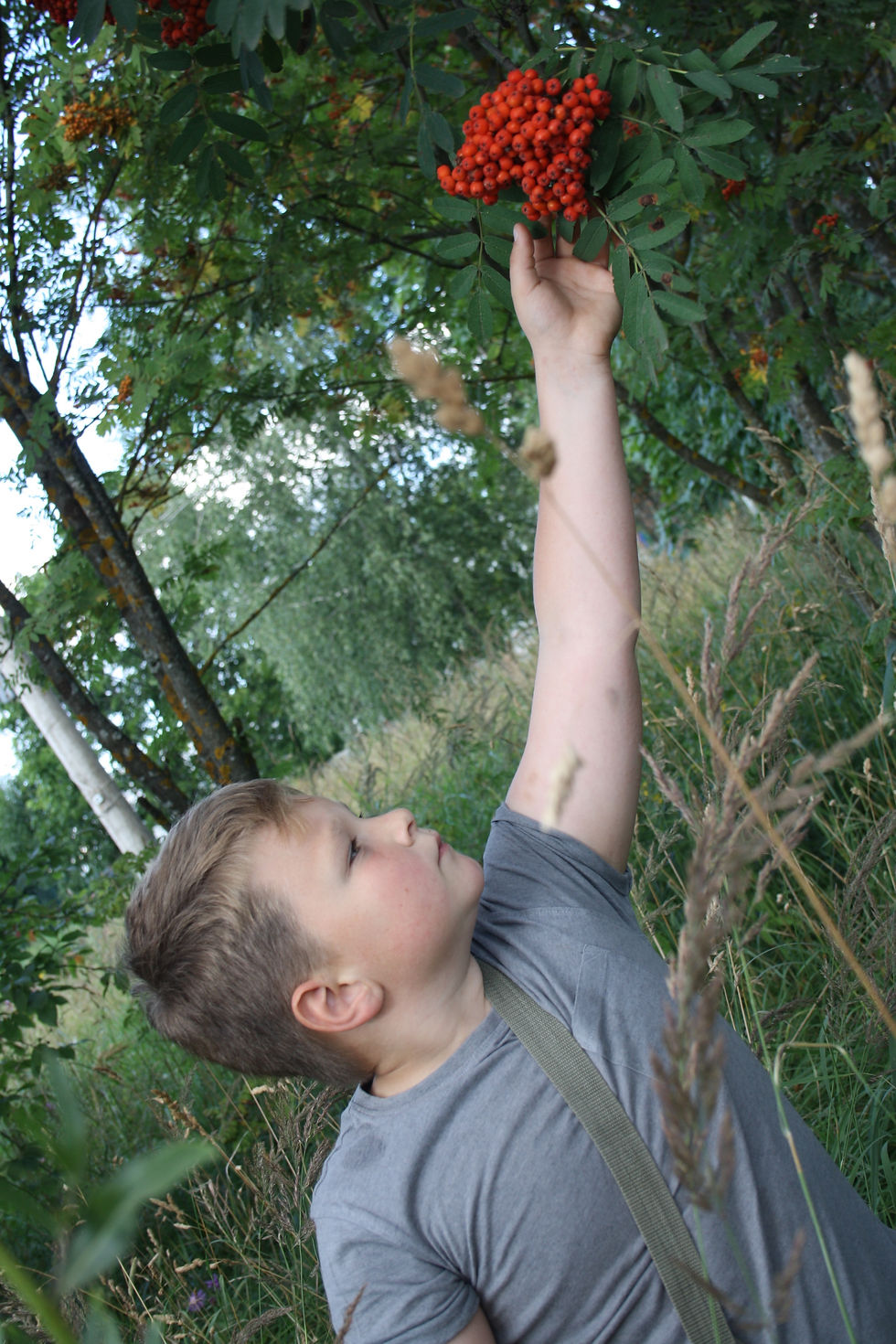 Присмотров-Белов Александр