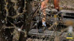 RTC 2019 (44 de 49).jpg