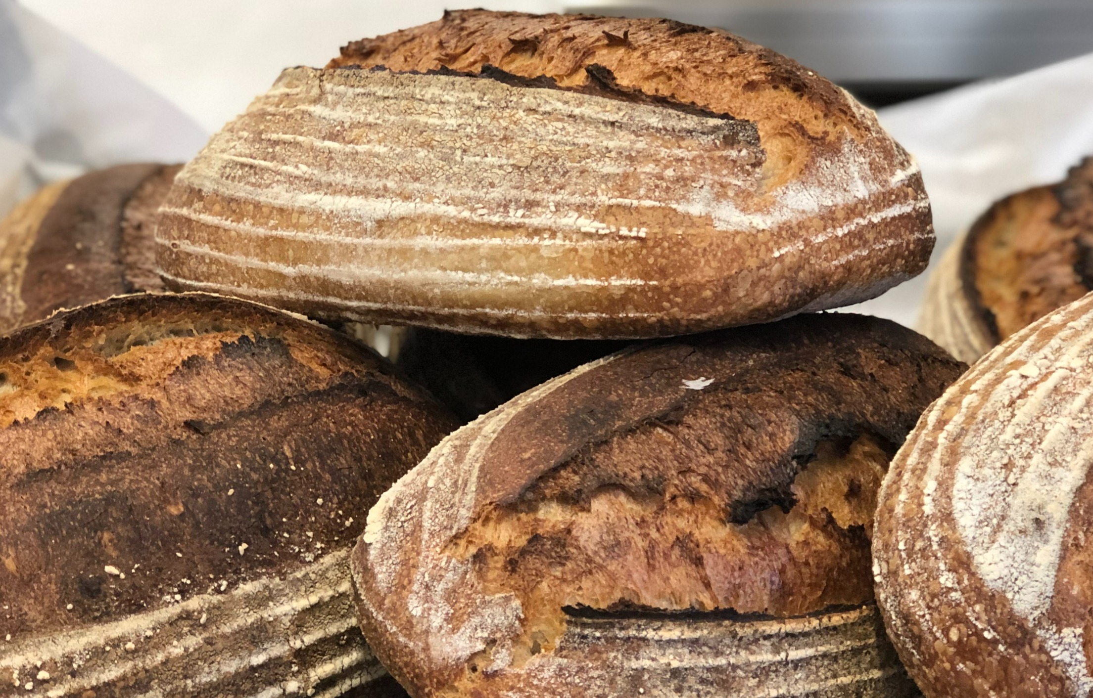 Arranged Food and Objects