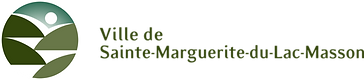 dt_logo.png
