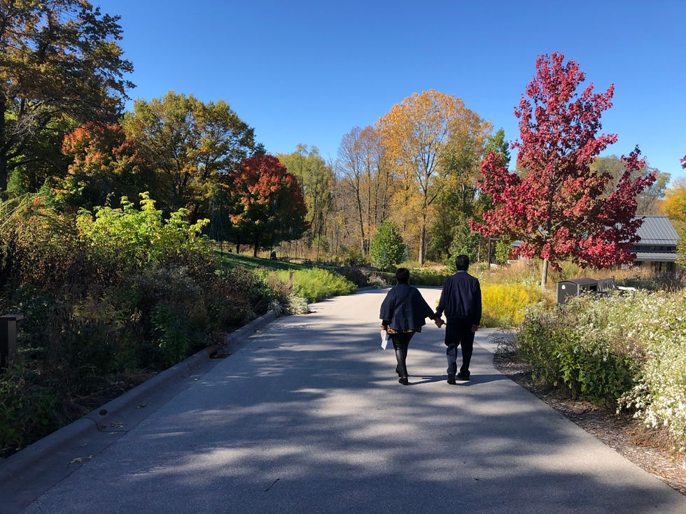 Teresa Tomeo Walking In Park in Fall Autumn
