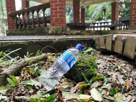 A Positive Change for the Environment