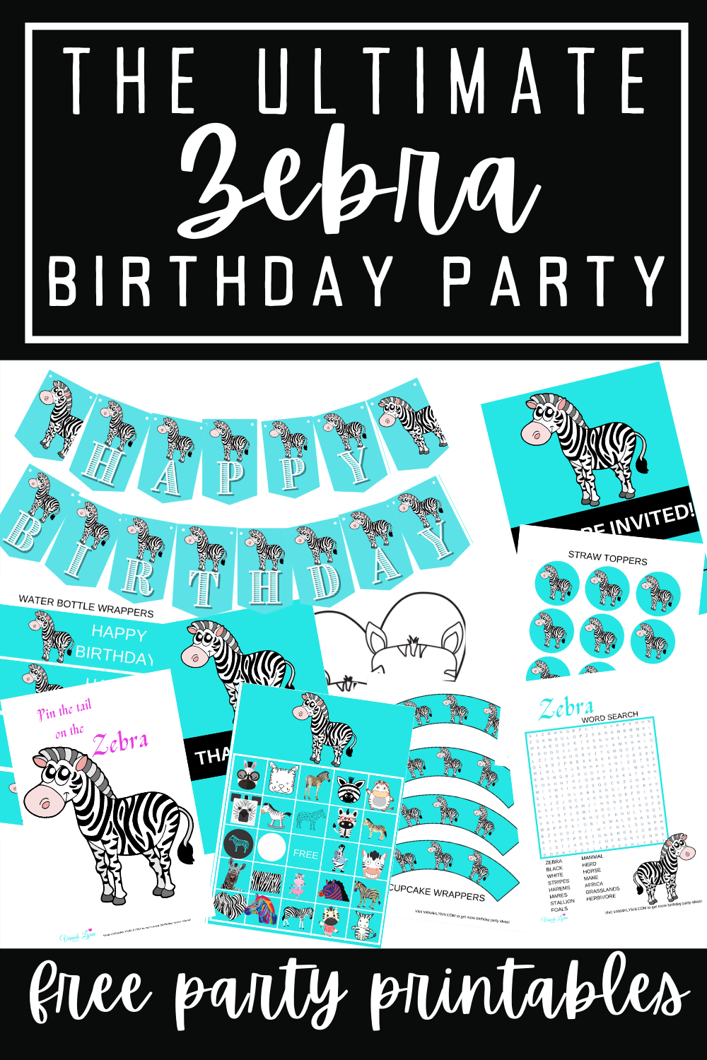 zebra girl birthday party ideas