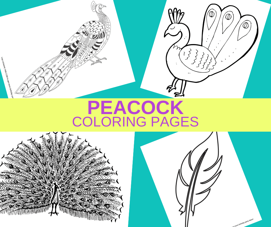 printable peacock coloring pages