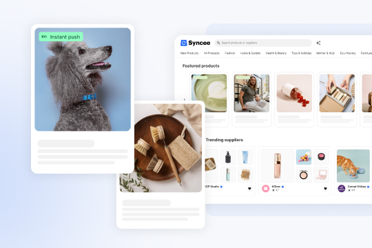 Syncee Premium Dropshipping banner