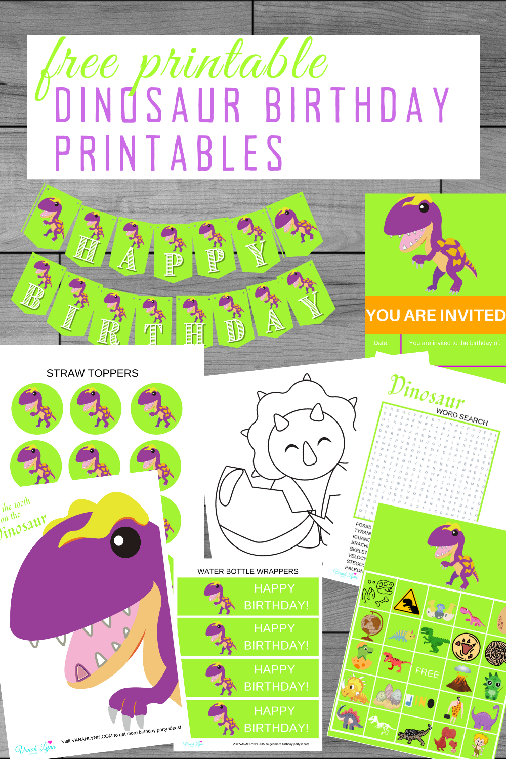 girl dinosaur birthday party decorations