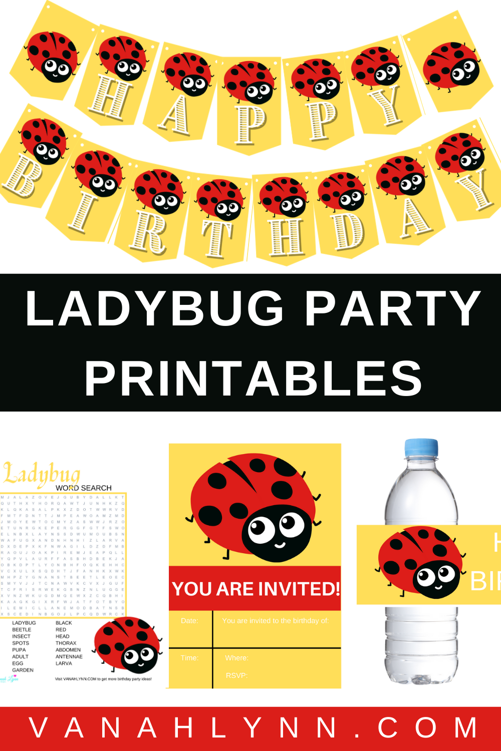ladybug 1st birthday party decorations