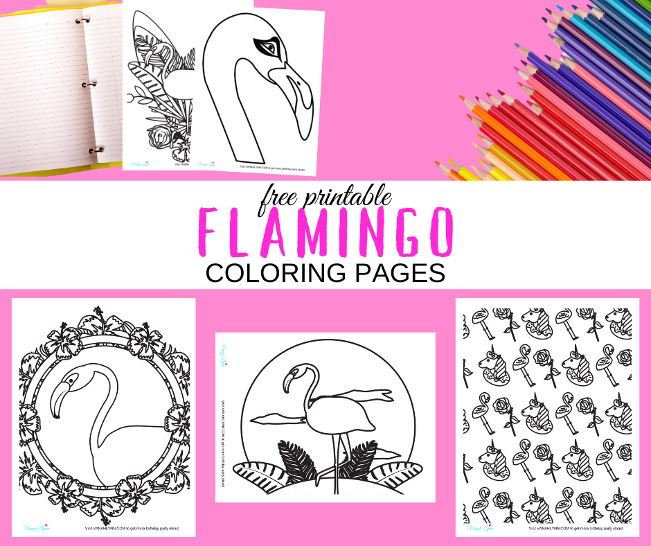 tropical flamingo coloring pages for kids