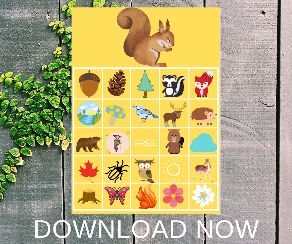 Woodland Bingo game for a woodland themed birthday party