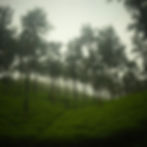 Chikmagalur