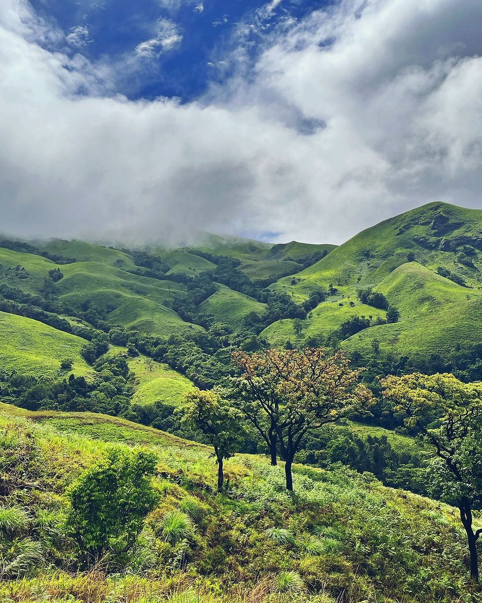 Miniature : Chikmagalur