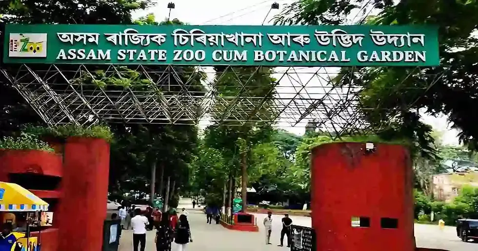 Miniature : 9D8N Arunachal Pradesh