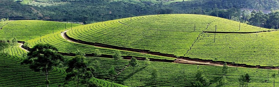 Thumbnail: Himachal Pradesh  Tour Package 7D 6N