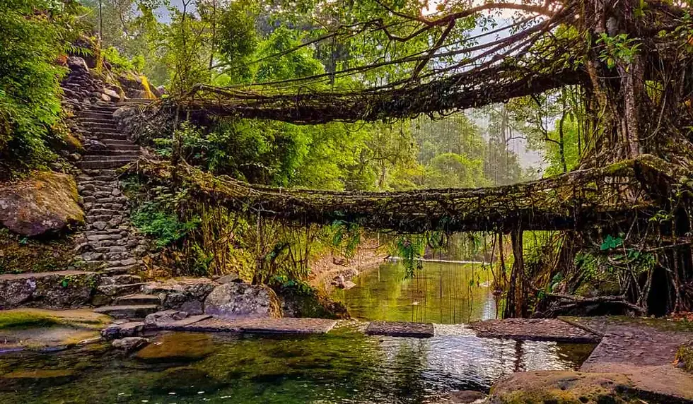 Thumbnail: Meghalaya Tour Package 8 Days 7 Nights