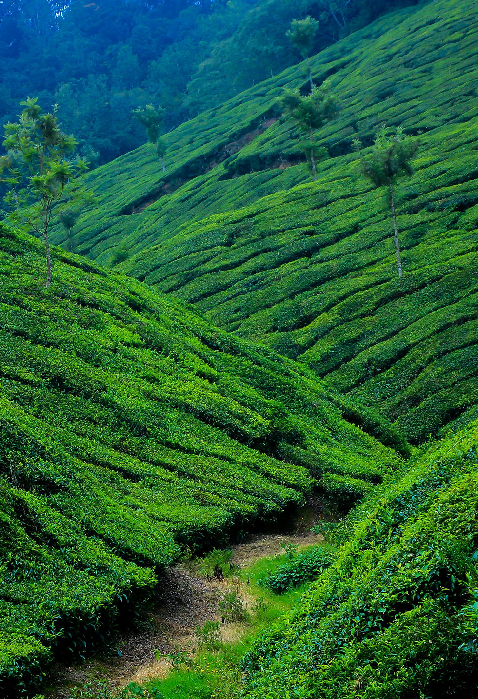 Why Kerala is called god's own country