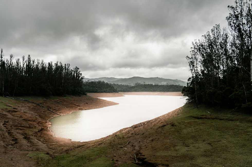 الصورة المصغرة: Ooty