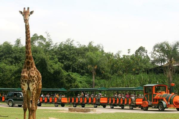 Chimelong Safari Park, Panyu, Guangzhou