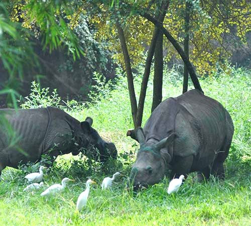 Thumbnail: Mizoram Tour Package 7 Days 6 Nights