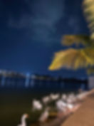 Thumbnail: Chhattisgarh