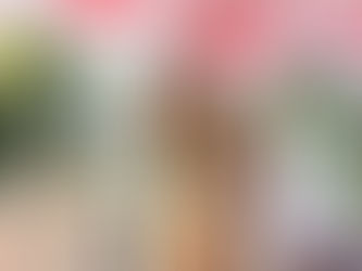 Pemprov Kalteng Gelar Upacara Hari Lahir Pancasila, Tegaskan Komitmen Revitalisasi Nilai Bangsa