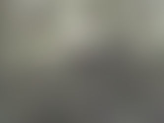 Penampakan Kucing Merah Kalimantan di Taman Nasional Kayan Mentarang Setelah 20 Tahun Hilang
