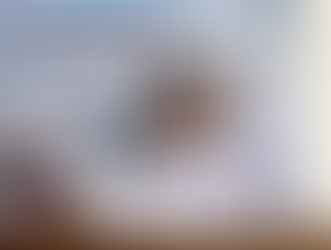 Rakor Forum Data 2025: DP3APPKB Kalteng Dorong Optimalisasi Data Gender dan Anak