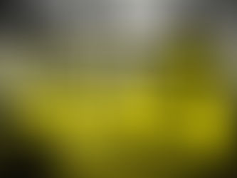 Preparing for a Power Outage During Hurricane Season