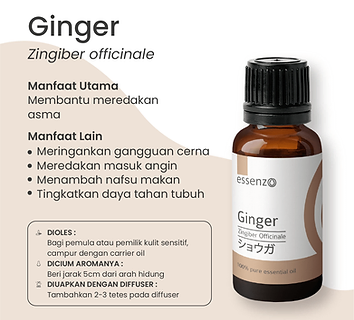 Ginger 2.png