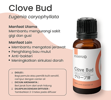 Clove Bud 2.png