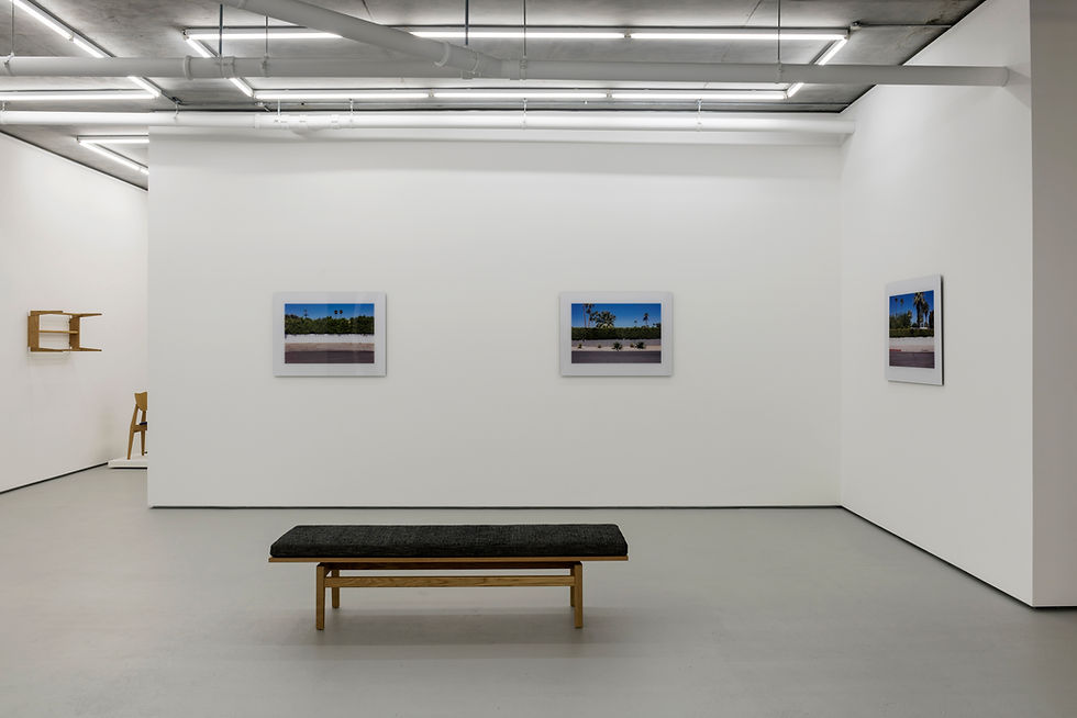 Robin Forster | Rocket | 2016