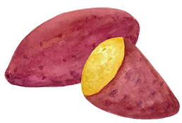 さつまいものイラスト