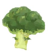 ブロッコリーのイラスト