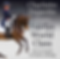 Fairfax Dressage
